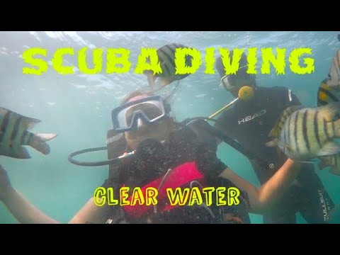 Scuba Diving Devbaug, Malvan | Tarkarli Scuba Diving | Scuba Diving for beginner