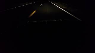 Midnight hunt for nocturnal grace