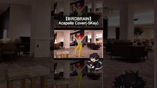 【BIRDBRAIN】A cappella cover🎙️ #teto #vocaloid #birdbrain #jamiepaige #shorts