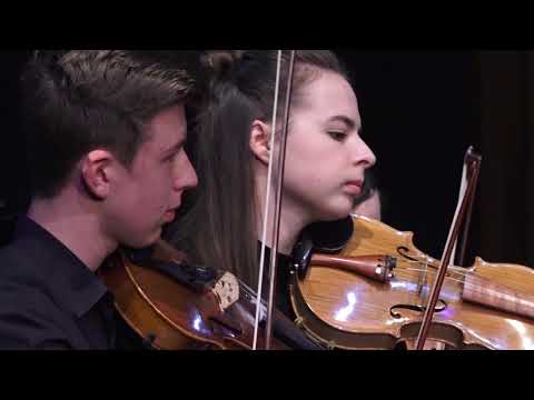 Mystical Portal - Jeremy Woolstenhulme, Eltham High School Senior Strings