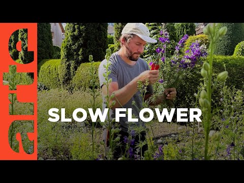 Von Luxusevents, Hochzeiten und Co. | Im Rausch der Blumen | ARTE