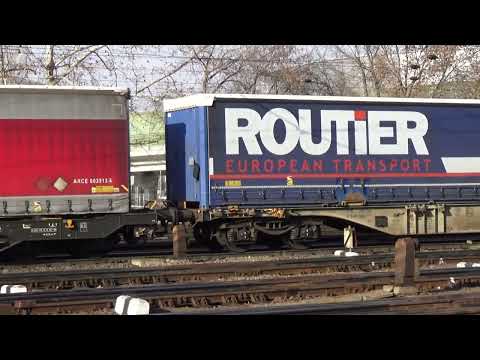 193 264 TX Logistik Born to Rail 2019