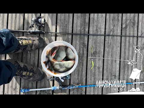 Ahventa laitureilta ja siltojen alta