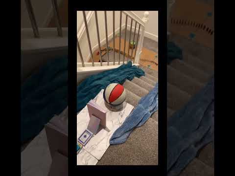 Cool Chain Reaction #satisfying #domino #rubegoldbergmachine