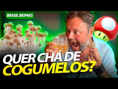 MUITO CUIDADO COM OS COGUMELOS QUE VOCÊ COME! | RICHARD RASMUSSEN