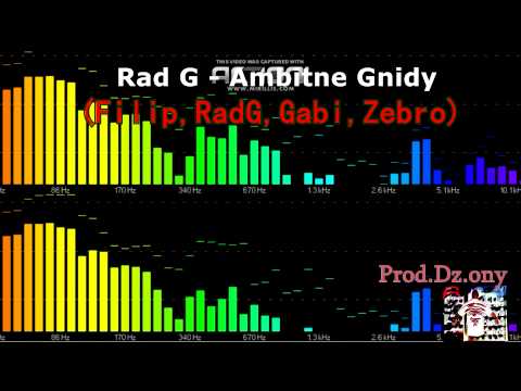 RadG - Ambitne gnidy (Filip,RadG,Gabi,Zebro) Prod.Dz.ony