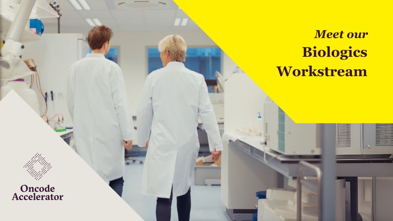 Meet our Biologics Workstream | Oncode Accelerator