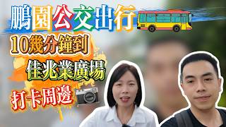 深圳大鵬新區鵬園周邊交通配套