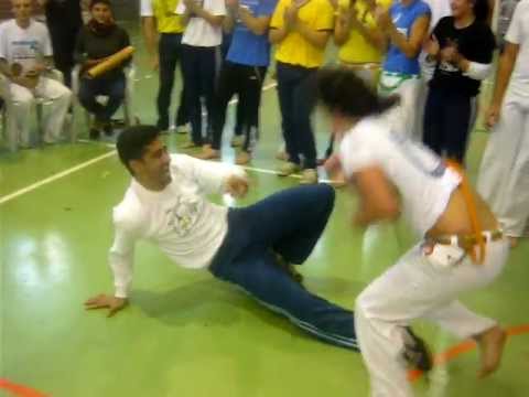 professor Maculele e manga rosa