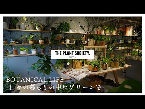 ブラウンクレーンズビル 植物