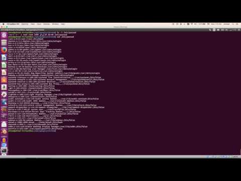 Learn Linux from Scratch The Man Pages