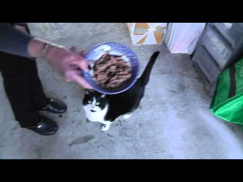 Niamh loves her corned beef!