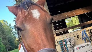 How  wire fire alarm setup and a smoke detector without a panel or annunciator.