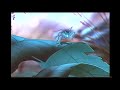 Opening To The Rescuers Down Under 1992 VHS