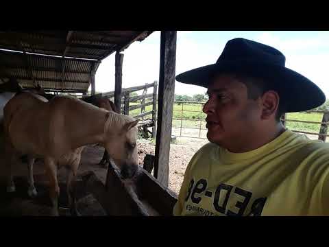 El coleador invalido Darwin leon LyM: Jesus Daniel Quintero