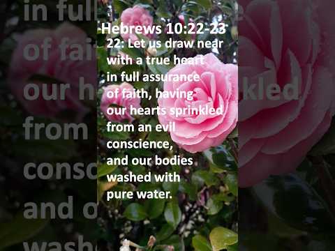 Hebrews 10:22-23