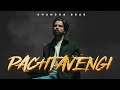 PACHTAVENGI Official Video Chandra Brar X MixSingh