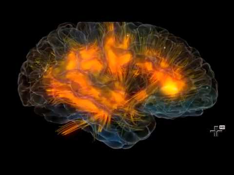 Scientists conduct first thought transmission experiment - August 30, 2014