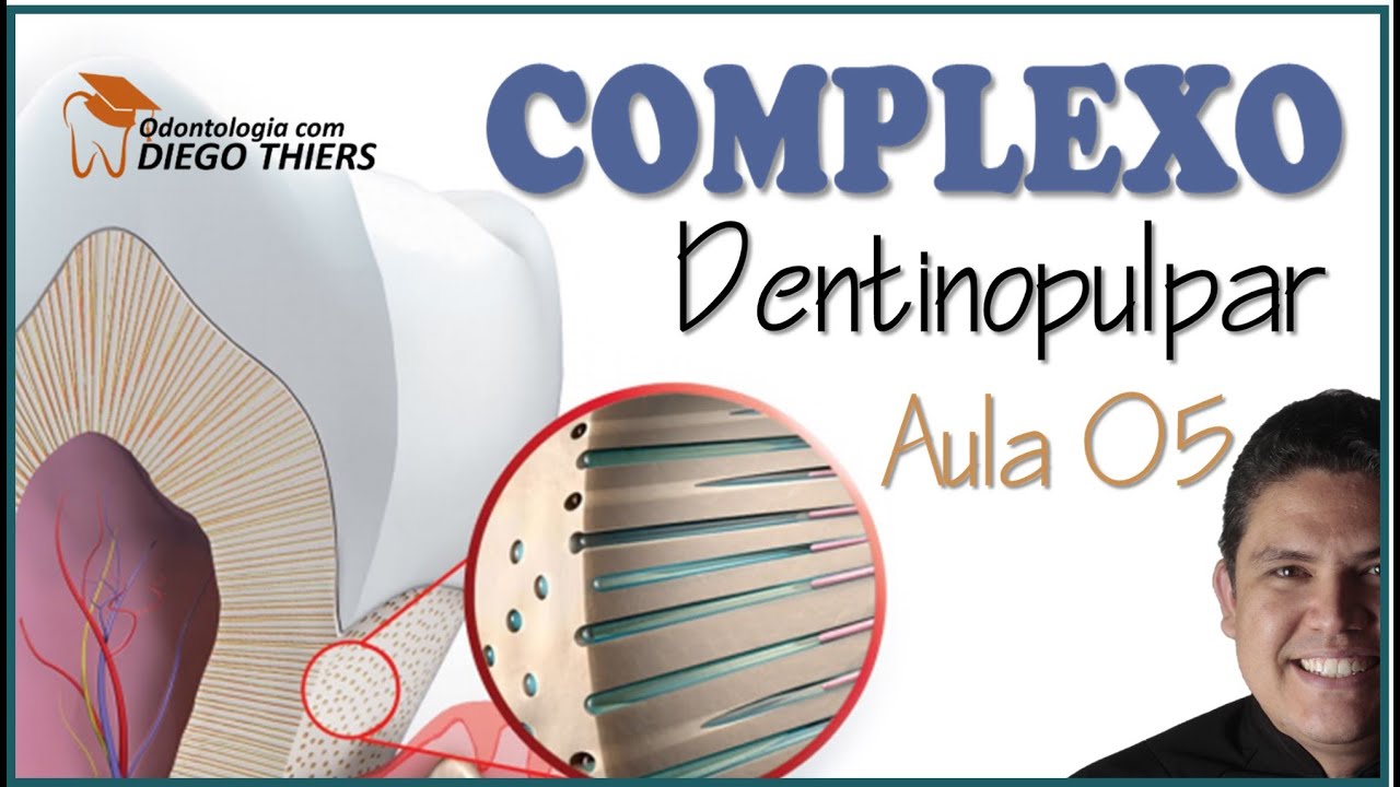 EMBRIOLOGIA - COMPLEXO DENTINOPULPAR - TIPOS DE DENTINA - CAMADAS DA POLPA - SENSIBILIDADE DENTÁRIA