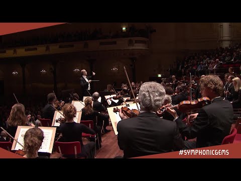 Symphonic Gems: Beethoven - Symphony No. 1 - IV. Adagio - Fischer | Concertgebouworkest