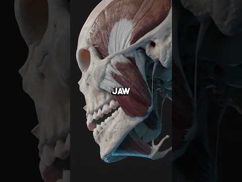 How to change face shape💀 #shorts