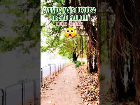 O melhor parque linear da zona oeste de São Paulo!