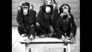 Seeing Stars - Brass Monkey