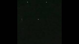 🟣🟣 PRINCE Live Pheromone