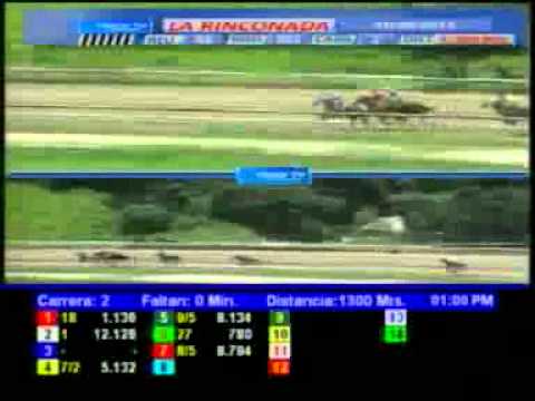 2DA CARRERA SAB 16 JUNIO LA RINCONADA AUDIOHIPISMO