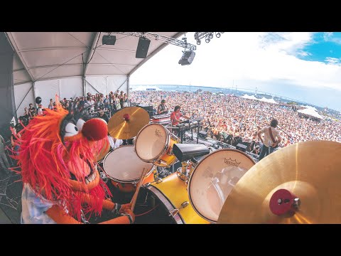 Goose - Animal (feat. Animal) - Newport Folk Festival 7/29/23
