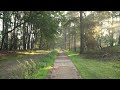 Ellipsis - Another Sheep in the Herd (prod. King Theta)