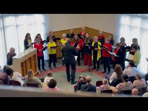 Ich will immer wieder dieses Fieber spürn (Frauenchor Pieterlen)