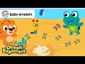 Sea Turtle Fun! | World Sea Turtle Day 🌊🐢 | Baby Einstein | Ocean Explorers | Kids Cartoons Show