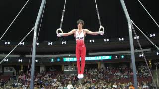 Ryohei Kato (JPN) - Still Rings - 2017 AT&amp;T American Cup