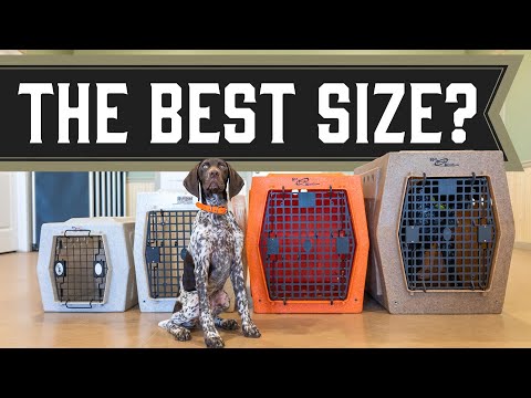 What Size Crate Does My Dog Need?