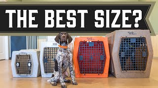 What Size Crate Does My Dog Need