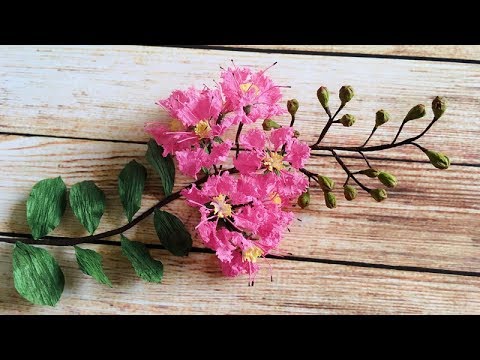 ABC TV | How To Make Lagerstroemia Indica Paper Flower From Crepe Paper - Craft Tutorial