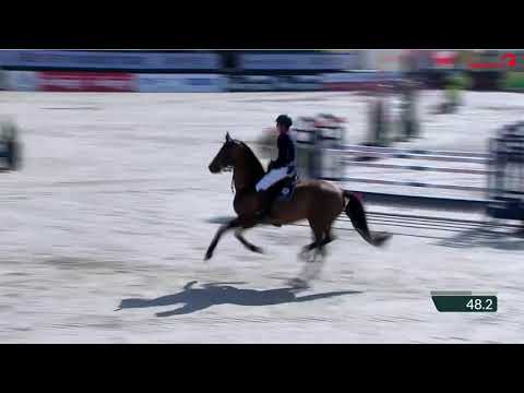 Hengststation Maas J. Hell - Takashi Haase mit Canstakko