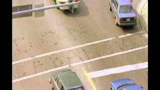 Don Caballero - No More Peace and Quiet for the Warlike