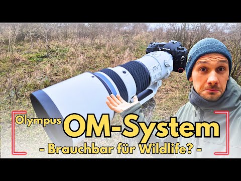 Wie gut ist das OM System von Olympus wirklich...