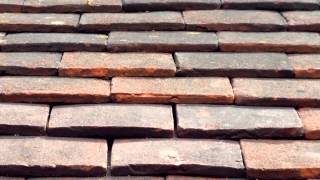 Wasp Nest Removal - Kingston, London - Sun Pest Control 