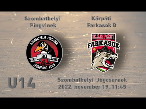 U14 235 Szombathelyi Pingvinek -  Kárpáti Farkasok B (élő közvetítés)