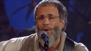 Yusuf Cat Stevens - Where True Love Goes