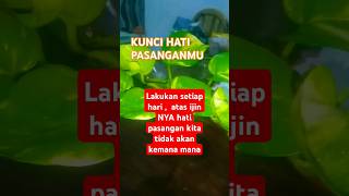 Download lagu DOA PENGUNCI HATI PASANGAN mp3 Download lagu DOA PENGUNCI HATI PASANGAN mp3