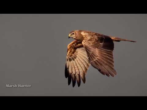 Garden Route - Ebb & Flow in Wilderness