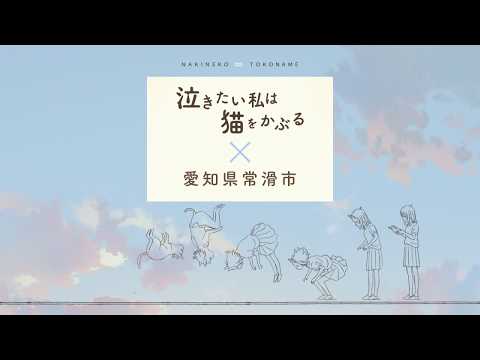 聖地常滑コラボ編PV『泣きたい私は猫をかぶる』（Netflixにて好評配信中！）