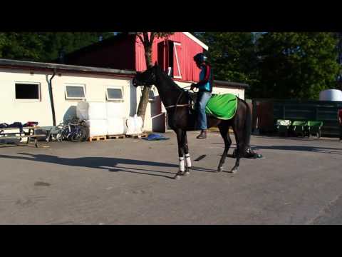 Mister Big Shuffle LørdagUpdate