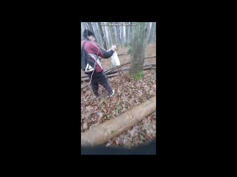 Major Suchodolski poranek w lesie Pato Lajt cz.1