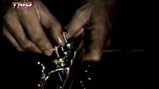 Miles Davis (Dingo 6)