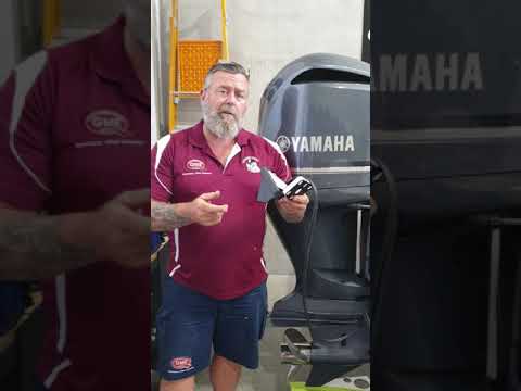 Garmin Livescope LVS32 Offshore Application # 2